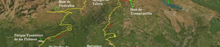 + Info